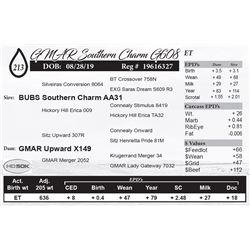 GMAR Southern Charm G608