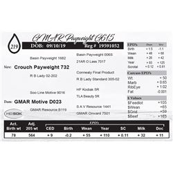 GMAR Payweight G615