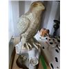 Image 1 : Eagle on Stand Cat A