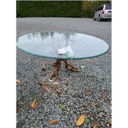 Glass Coffee Table  Cat A