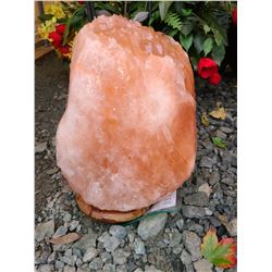 Large Himalayan Salt Crystal Cat A