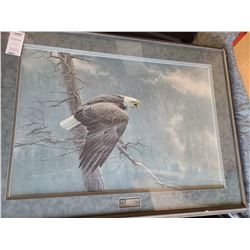 Robert Bateman Cat C