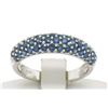 Image 1 : 14kt White Gold 1.25 ctw Domed Pave Round Blue Sapphire Band Ring