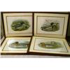 Image 1 : A GROUP OF FOUR FRAMED DUCK PRINTS