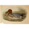 Image 3 : A GROUP OF FOUR FRAMED DUCK PRINTS