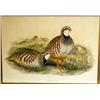 Image 2 : A HAND COLORED ENGRAVING OF QUAIL