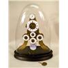 Image 1 : A MULTI-DIAL DOMED SKELETON CLOCK