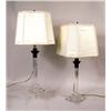 Image 1 : A PAIR OF COLORLESS GLASS AND PATINATED