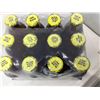 Image 3 : Calypso Peach Tea & Lemonade (12 x 473ml)