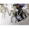 Image 2 : Lot of Bat Skeletons