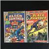 Image 1 : THE BLACK PANTHER COMIC BOOK LOT (MARVEL COMICS)