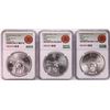 Image 1 : Lot of (3) 1979Mo Mexico 1 Onza Silver Coins NGC MS63