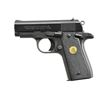 Image 1 : COLT MUSTANG PLUS II MARK IV SERIES 80 SEMI AUTO