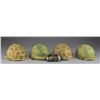 Image 1 : 4 US M1 HELMETS W/ CAMOUFLAGE COVERS.