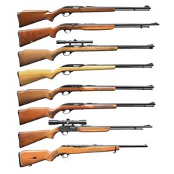 LARGE GROUP OF 8 - 22 SEMI AUTO RIFLES.