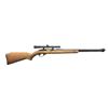 Image 4 : LARGE GROUP OF 8 - 22 SEMI AUTO RIFLES.