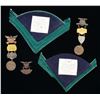 Image 1 : GAR MEDALS & INDIAN WAR CHEVRONS.