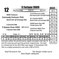 S Fortune 9680