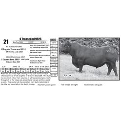 S Transcend 9525