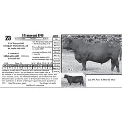 S Transcend 9749