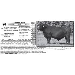 S Armour 9689