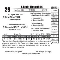 S Right Time 9804