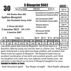 S Blueprint 9502