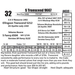 S Transcend 9667
