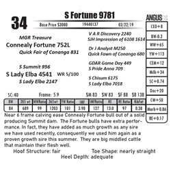 S Fortune 9781