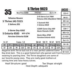 S Thrive 9623
