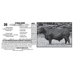 S Thrive 9649
