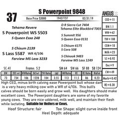 S Powerpoint 9848