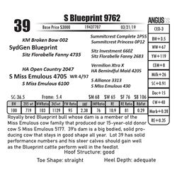 S Blueprint 9762