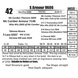 S Armour 9606