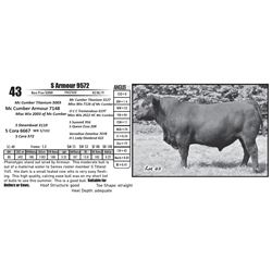 S Armour 9572