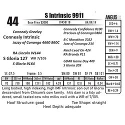 S Intrinsic 9911
