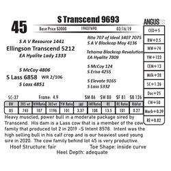 S Transcend 9693