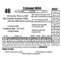 S Armour 9656