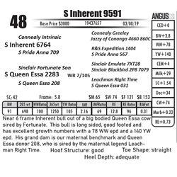 S Inherent 9591