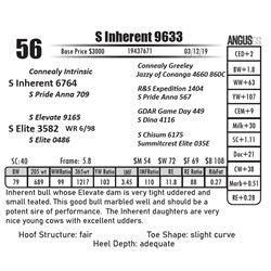 S Inherent 9633