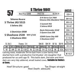 S Thrive 9841