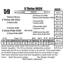 S Thrive 9639