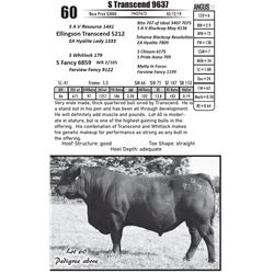 S Transcend 9637