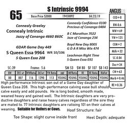 S Intrinsic 9994