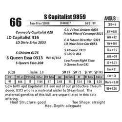 S Capitalist 9859