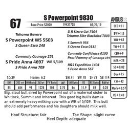 S Powerpoint 9830