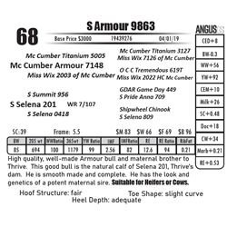 S Armour 9863