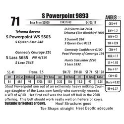 S Powerpoint 9893