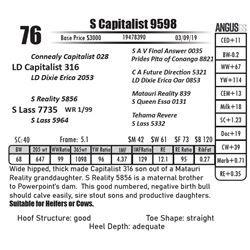 S Capitalist 9598