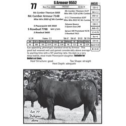 S Armour 9552